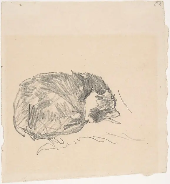 A Cat Curled Up, Sleeping by Edouard Manet