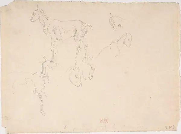 Studies of a Goat by Eugène Delacroix